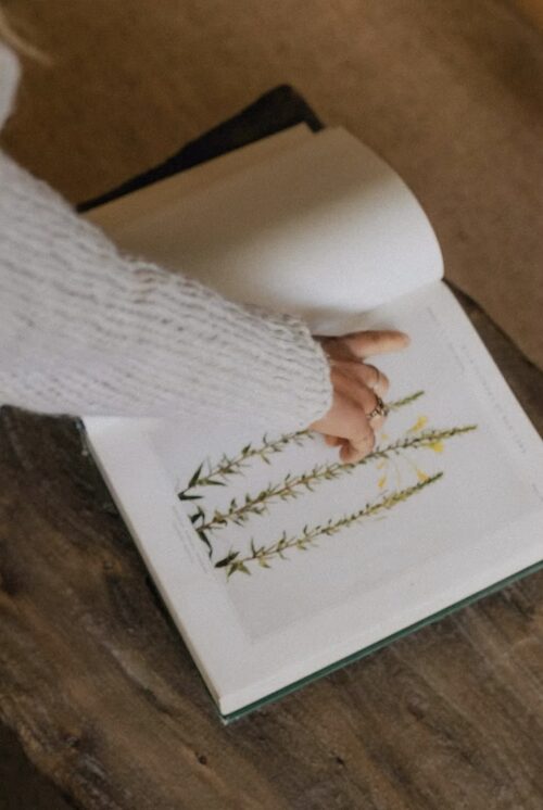 Dried Flowers and Daily Ritual at Intuitively Wil