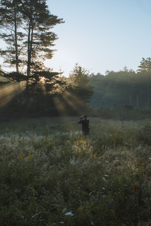 A person in a field taking a photograph of the sunrise shining through the trees.