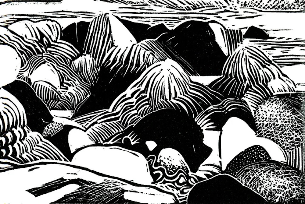 Seaweed at pepple print by Hudson Falley artist Kate McGloughlin