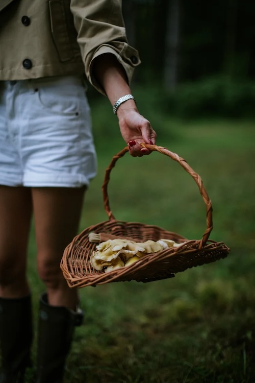 A woman holding a basket of foraged mushrooms by Peter Crosby