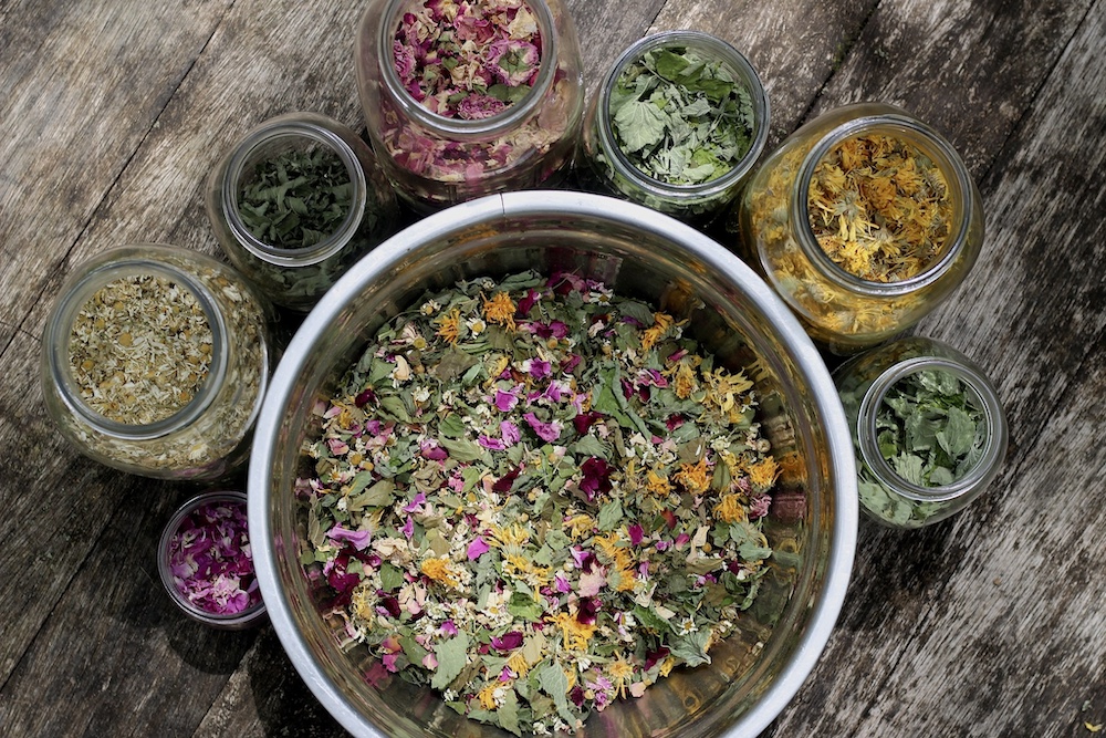 foraged flowers and herbs by Sasha Botanica.