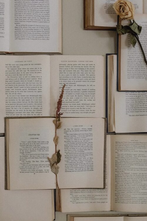 Journaling Daily Ritual at Intuitively Wild
