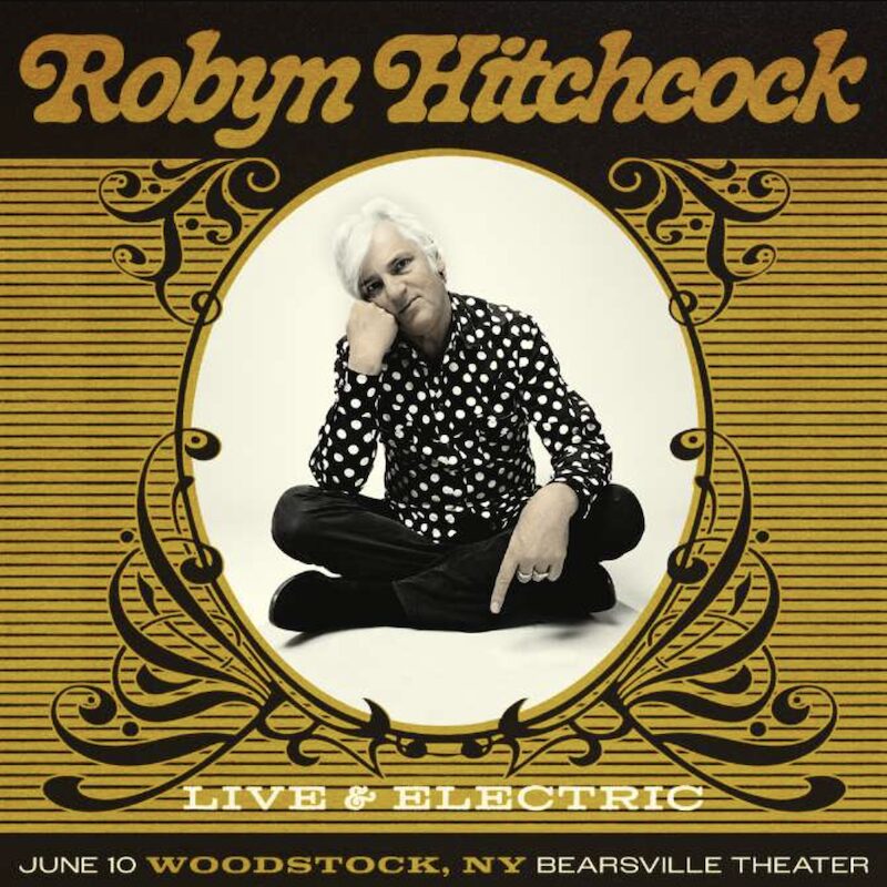 Robyn Hitchcock Live and Electric at Bearsville Theater in Woodstock NY