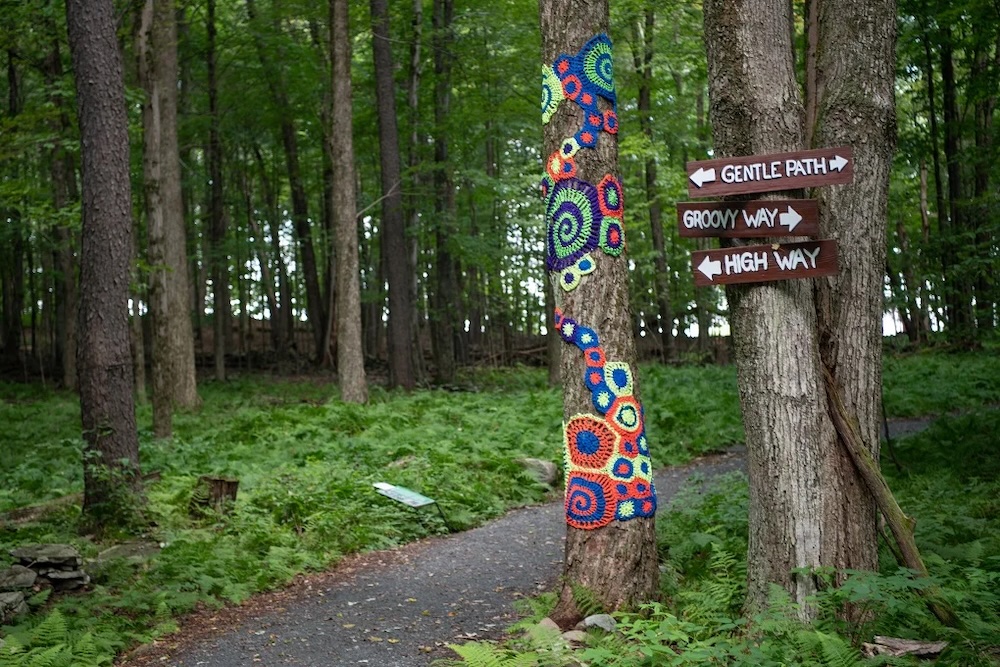 Bindy Bazaar Woods at Bethel Woods Center for the Arts.