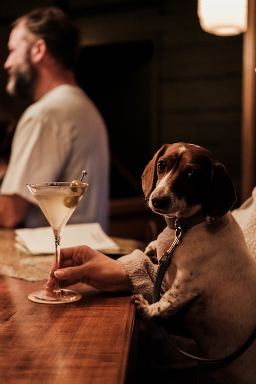 The bar at Small Talk in Woodstock NY