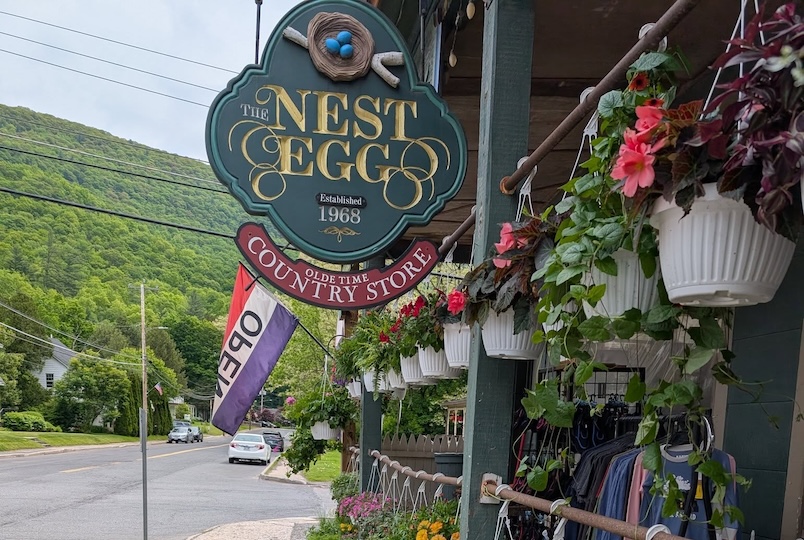 The Nest Egg Country Store in Phoencia NY