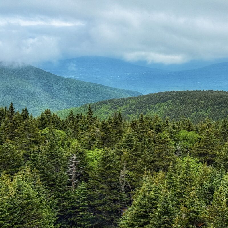Protect The Path Hiking Series Catskill Visitor Center