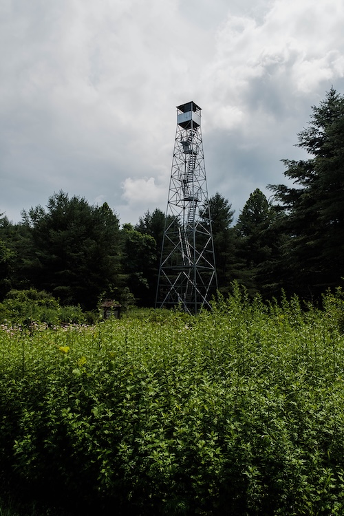 Climb the Firetower Catskills Visitor Center in Mount Tremper