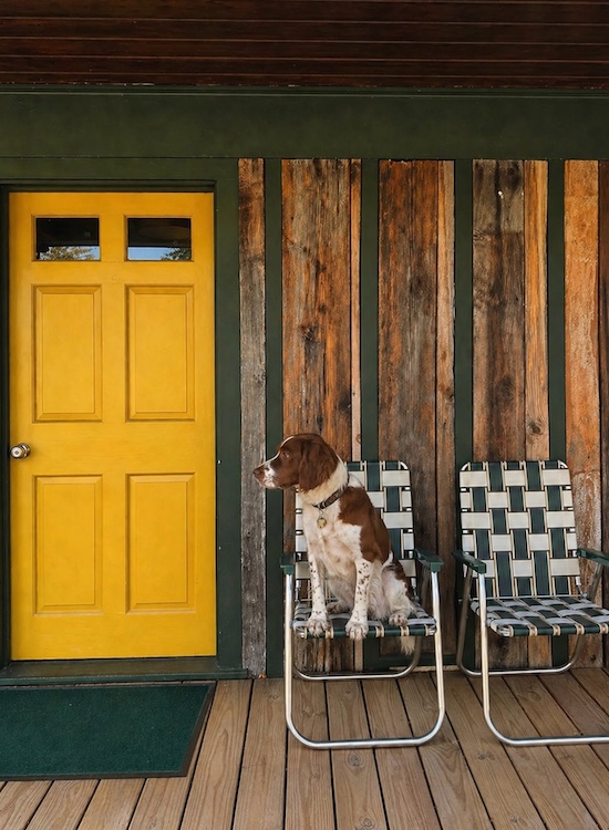 A dog sitting on a camping chair in front of the cabin at Andes Hotel in Andes NY.