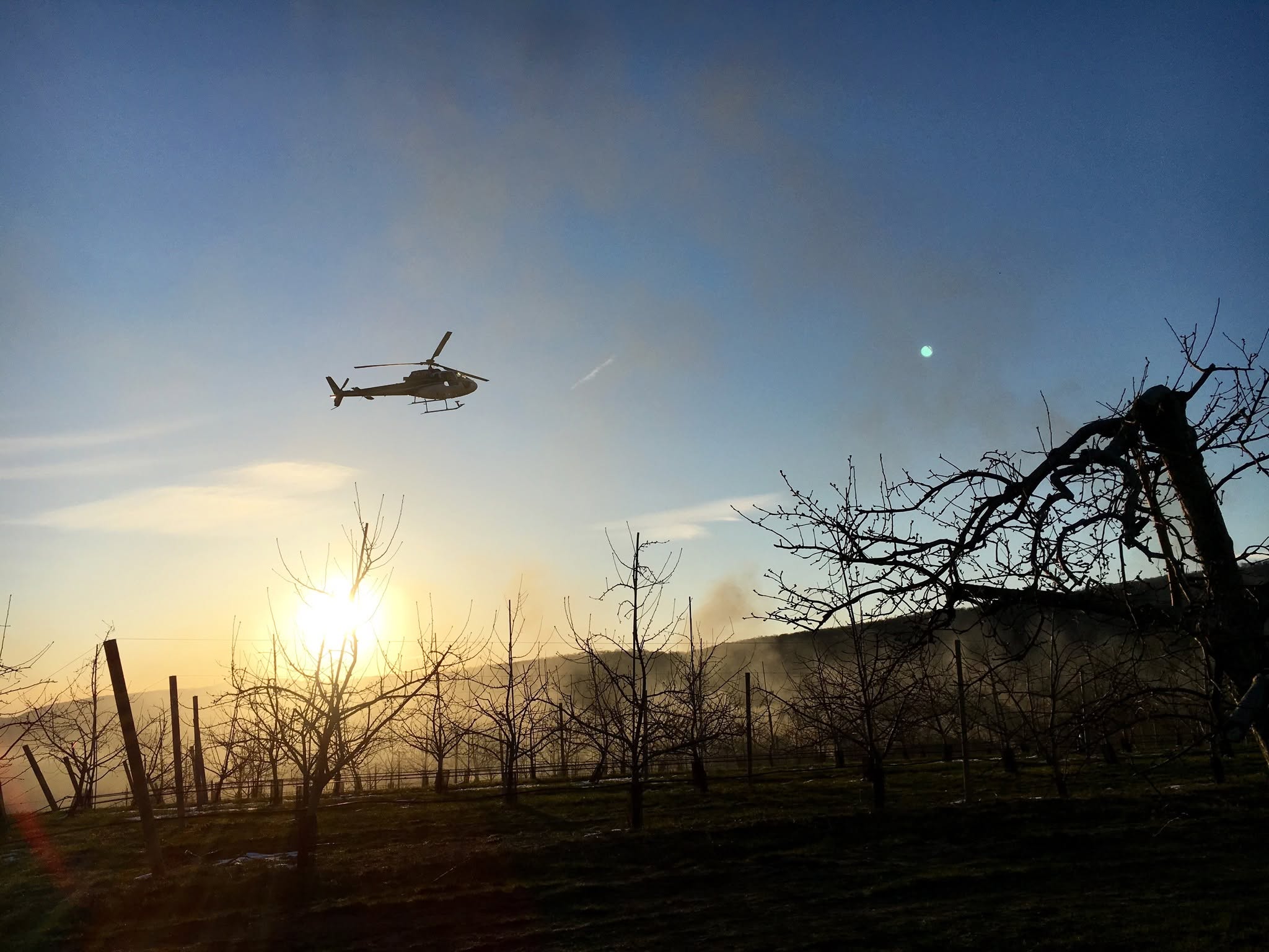 Helicopter flying over the farm during a frost to help keep warm air closer to the trees in hopes of saving them from decimation at Fishkill Farms in April 2026.
