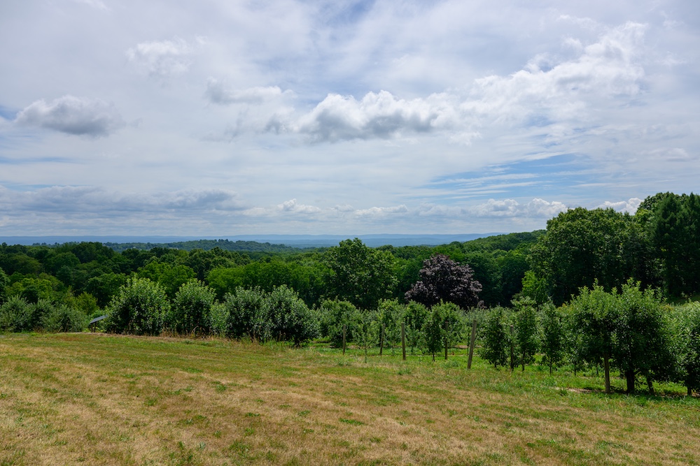 Hudson Valley view at Quartz Rock Winery & Vineyard in Marlboro, NY.