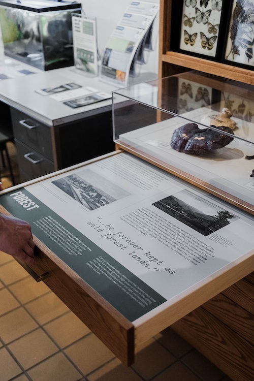 Exhibits and displays at the Catskills Visitor Center in Mount Tremper