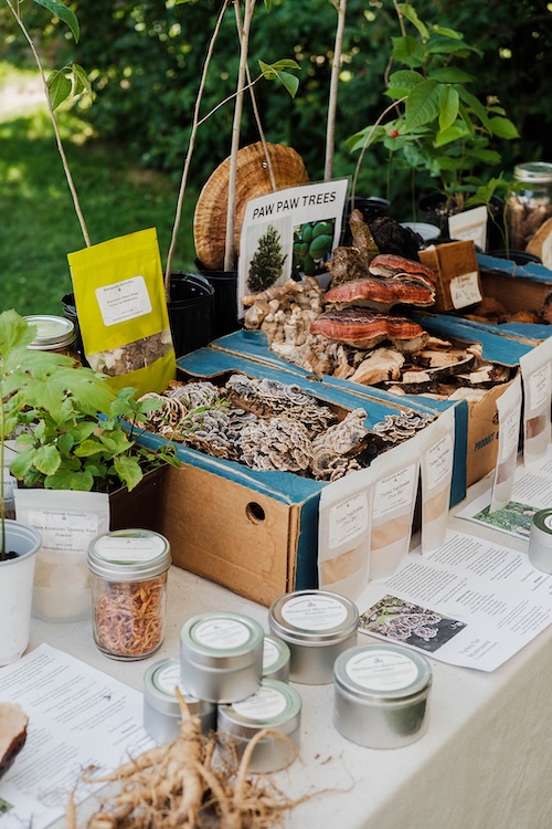 Fresh produce at The Phoenicia Farmers Market