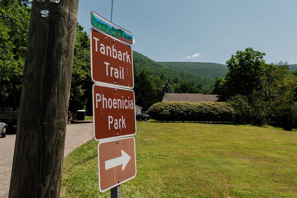 The Phoenicia Farmers Market at Tanbark Park