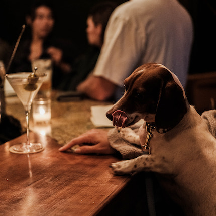 Where To Go In Woodstock NY