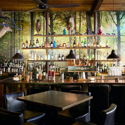 What to do in Shandaken NY