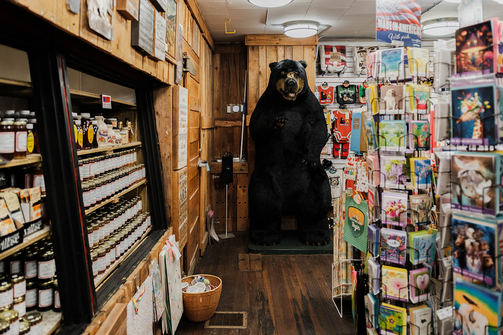 Meet The Bear at The Nest Egg Shop in Phoenicia NY