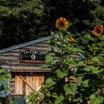 The Perch at Shandaken Inn boutique hotel in Shandaken NY