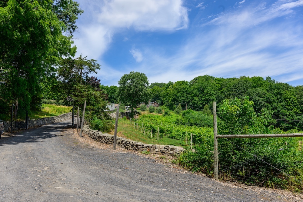 Entrance and vineyard at Quartz Rock Winery & Vineyard in Marlboro, NY.