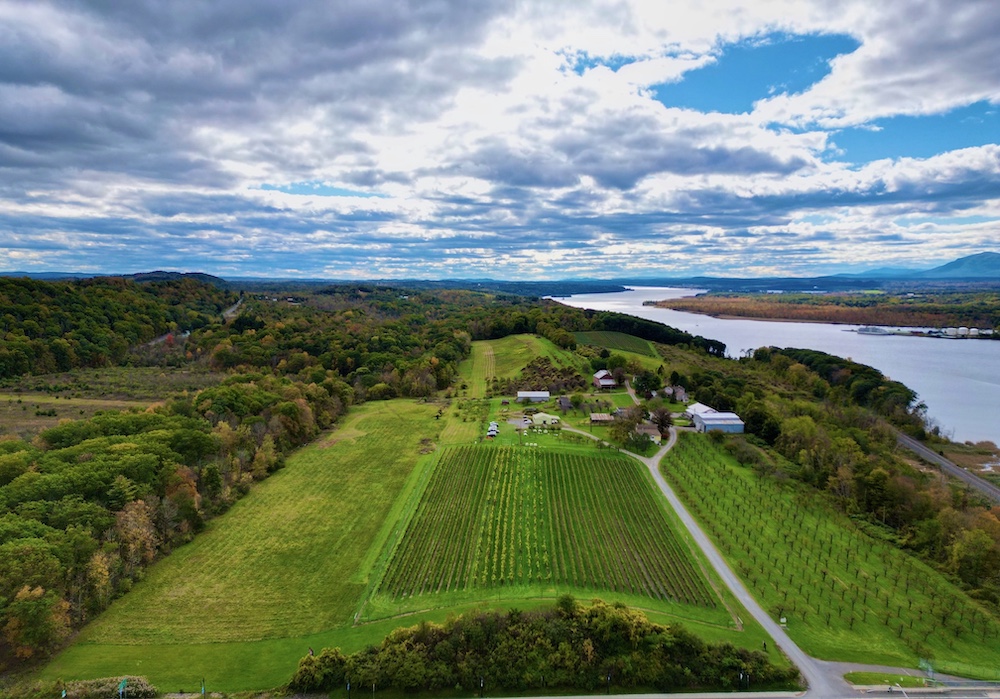 Aerial view of Hudson Whitecliff Vineyard in 2026.