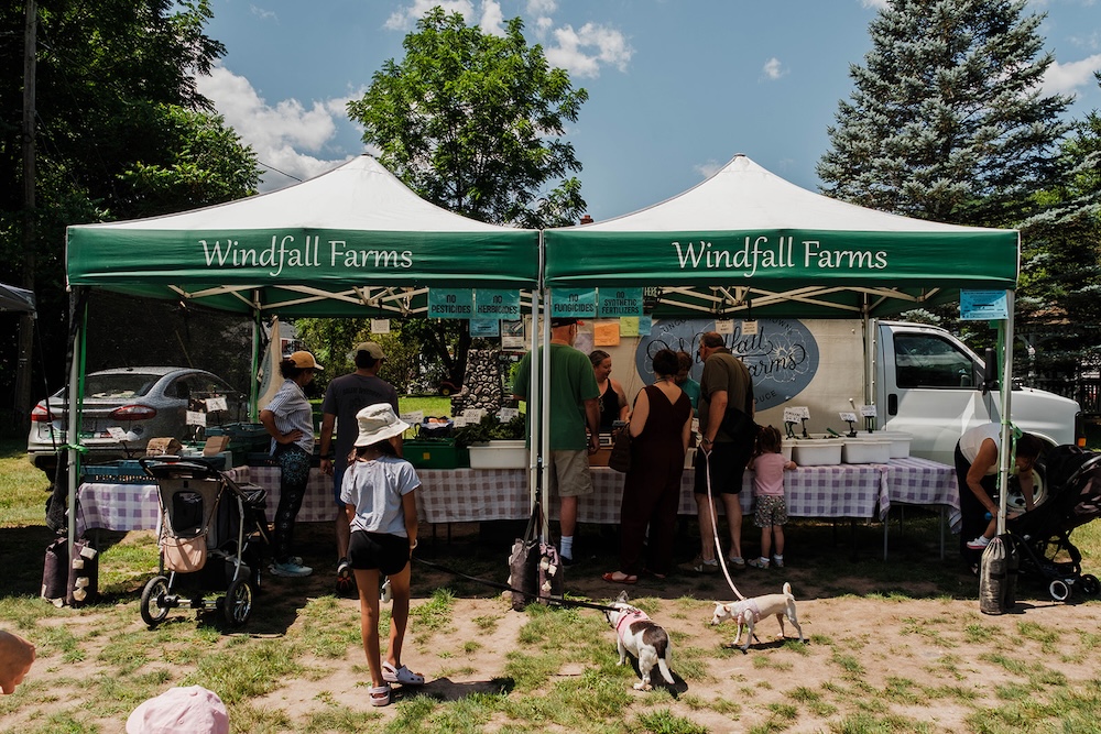 Shopping at The Phoenicia Farmers Market