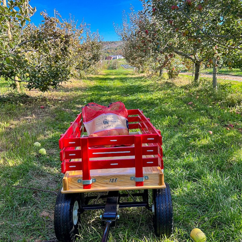 Fall Harvests Fishkill Farms