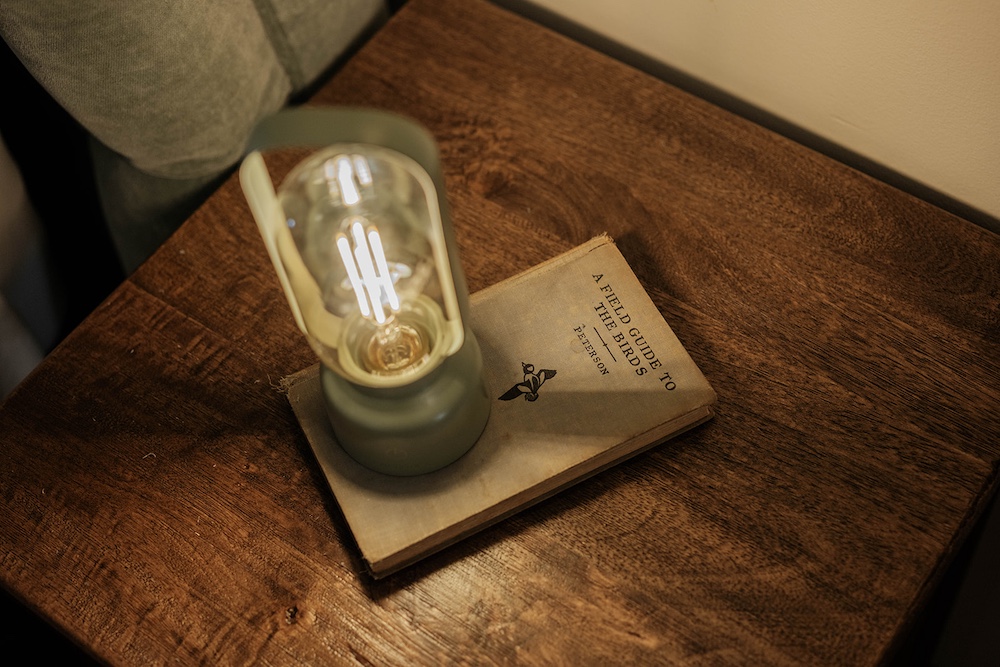 A bird watching book with a lamp on a side table in the bedroom at Phoenicia Lodge in the Catskills.