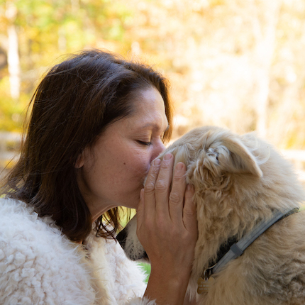 Rewriting the Rules: Modern Dog Training