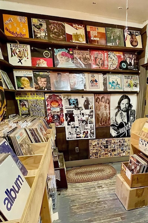 Records at Mystery Spot Antiques in Phoenicia NY.