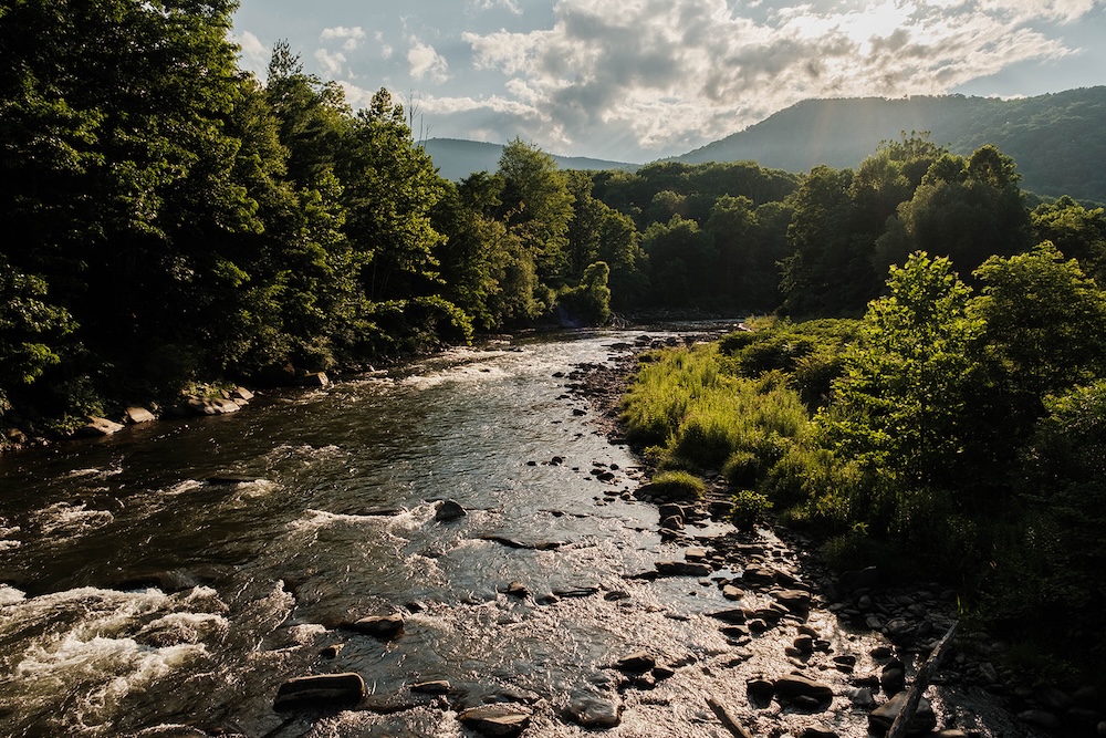 The Esopus Creek, tress and mountains in the Town of Shandaken NY.